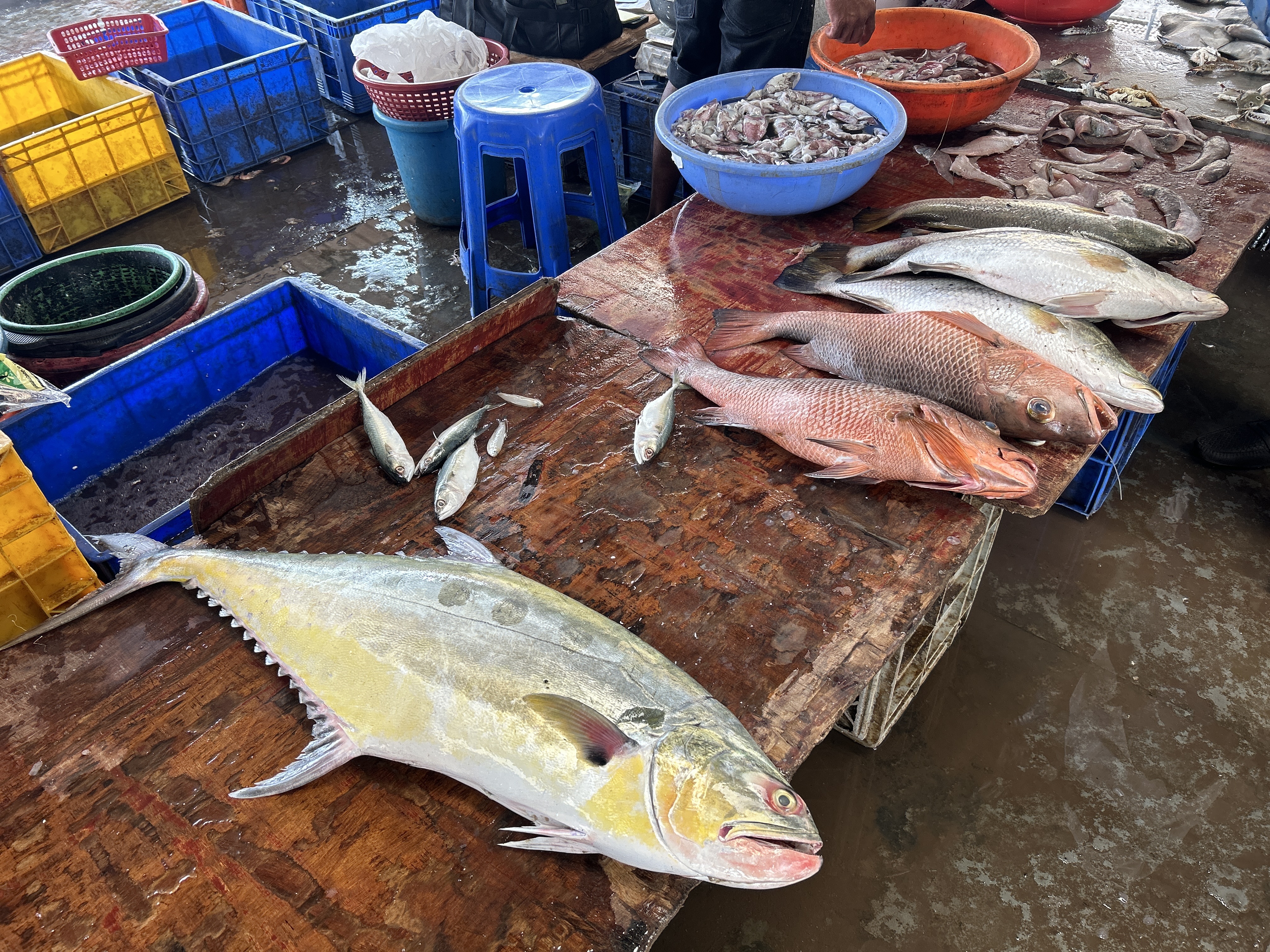 MUMBAI