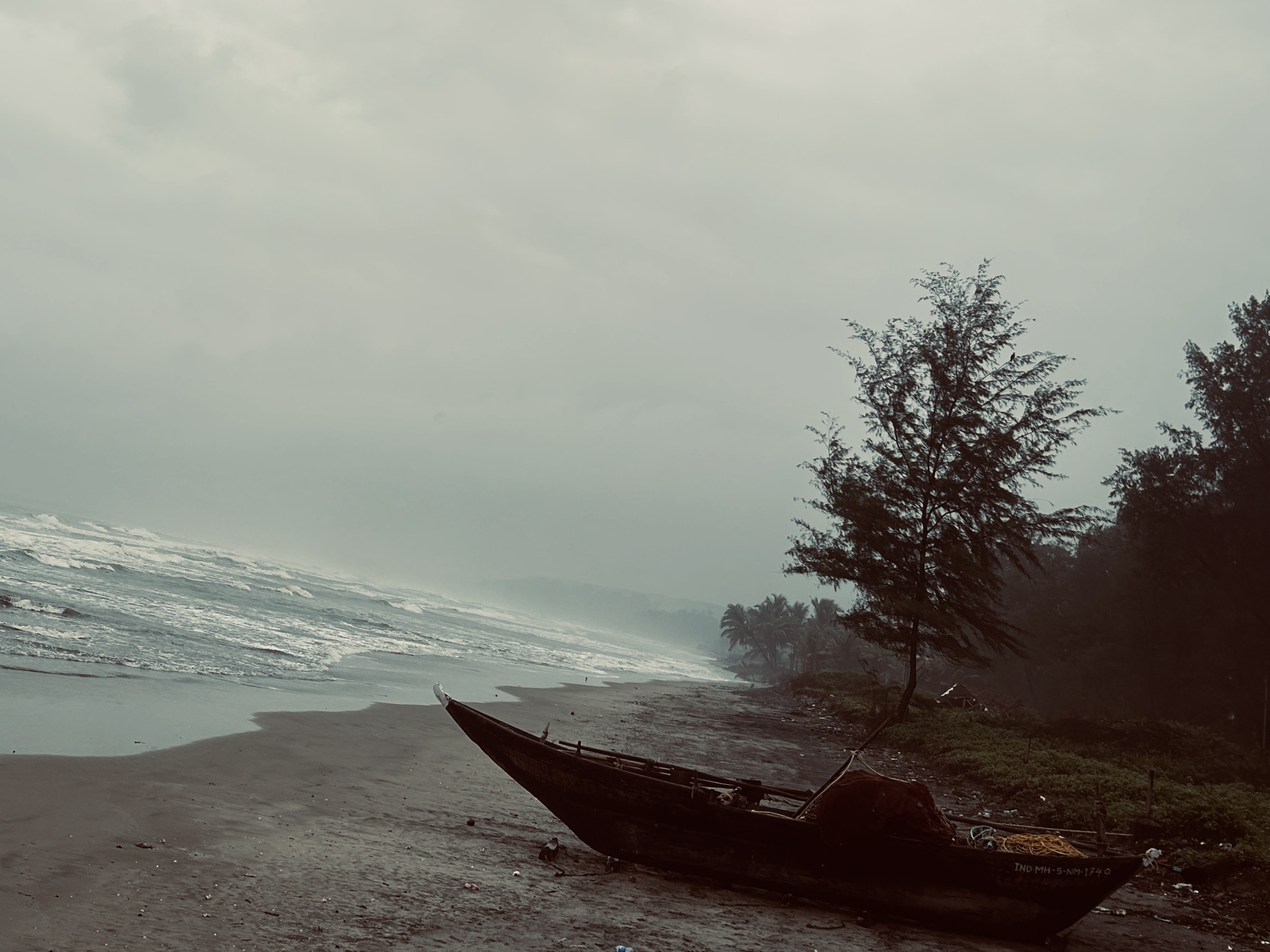 Nature
